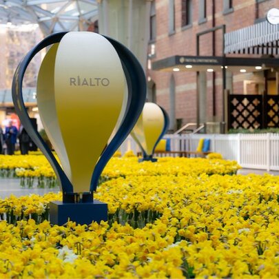 Balloon installation in a sea of daffodils in the Rialto Piazza.