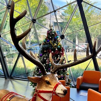 Christmas Barbecue at East Melbourne Library