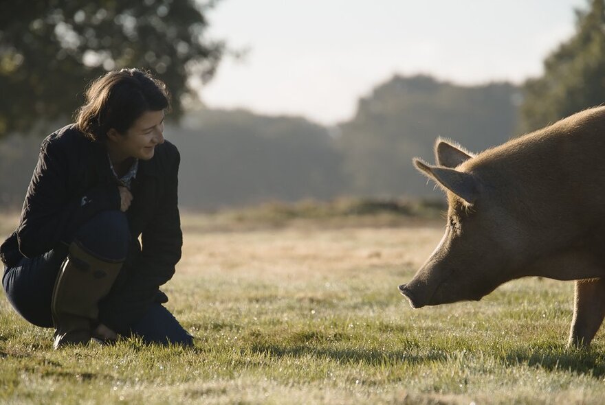 A still from the movie Wilding, showing a woman kneeling down in a field talking to a very large pig. 