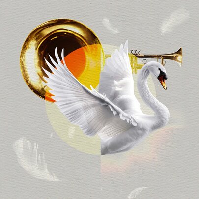 The Trumpet of the Swan