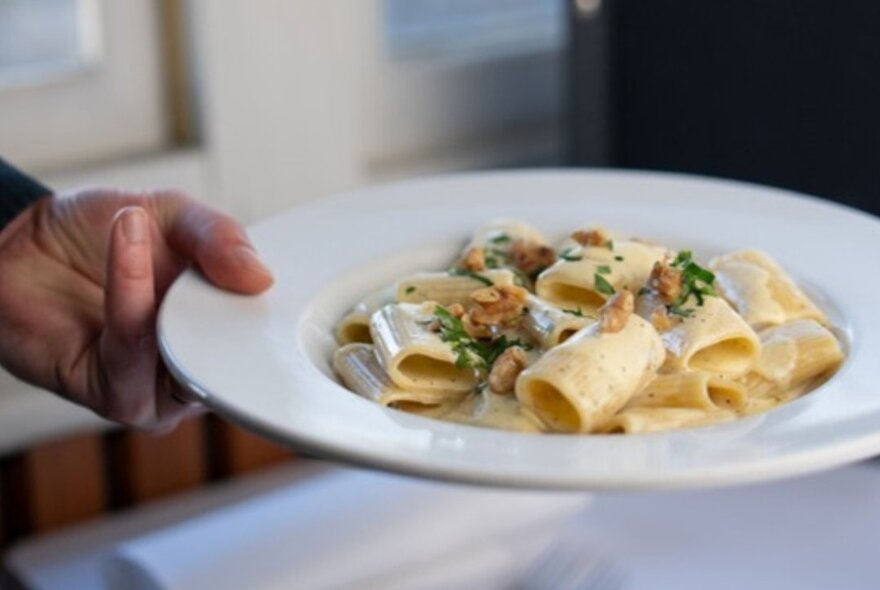 A hand holding a plate of large tubed pasta with a cream sauce and herb garnish. 