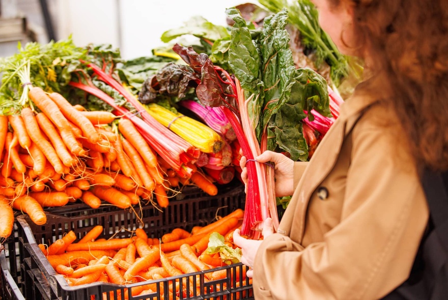 Person holding a large bunch of fresh rhubarb with carrots at an outdoor market stall.