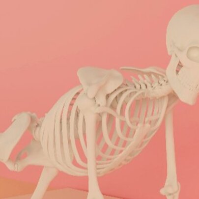  We’re All Going to Die: So What’s the Plan? 