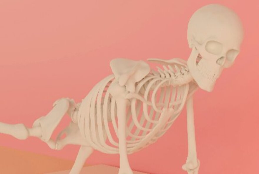 A white skeleton model striking a dynamic pose against a solid pink background. 