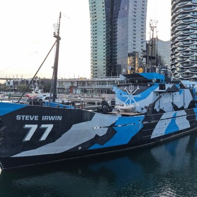 The MY Steve Irwin, formerly the flagship vessel for the Sea Shepherd Conservation Society, painted in shades of blue camouflage colours, berthed in the water in Melbourne's Victoria Harbour, with tall city buildings in the background.