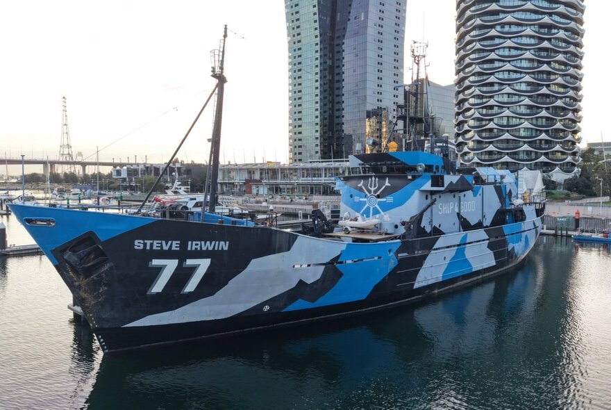 The MY Steve Irwin, formerly the flagship vessel for the Sea Shepherd Conservation Society, painted in shades of blue camouflage colours, berthed in the water in Melbourne's Victoria Harbour, with tall city buildings in the background.