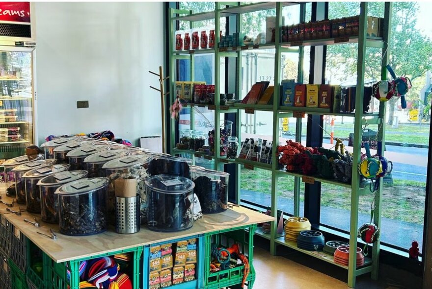 Pet store interior with central display table of food treats and window display shelves with pet products.