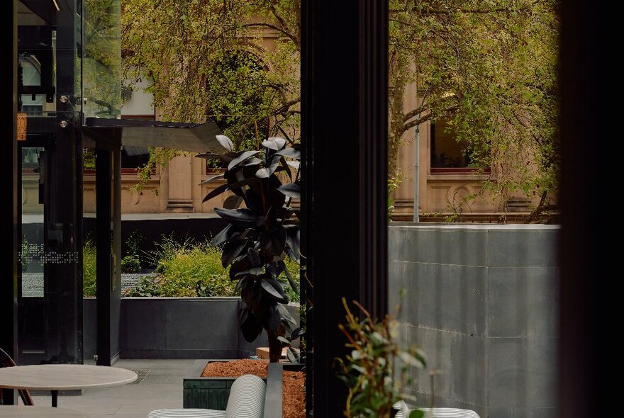 Looking at an outdoor area with potted plants from inside a restaurant.