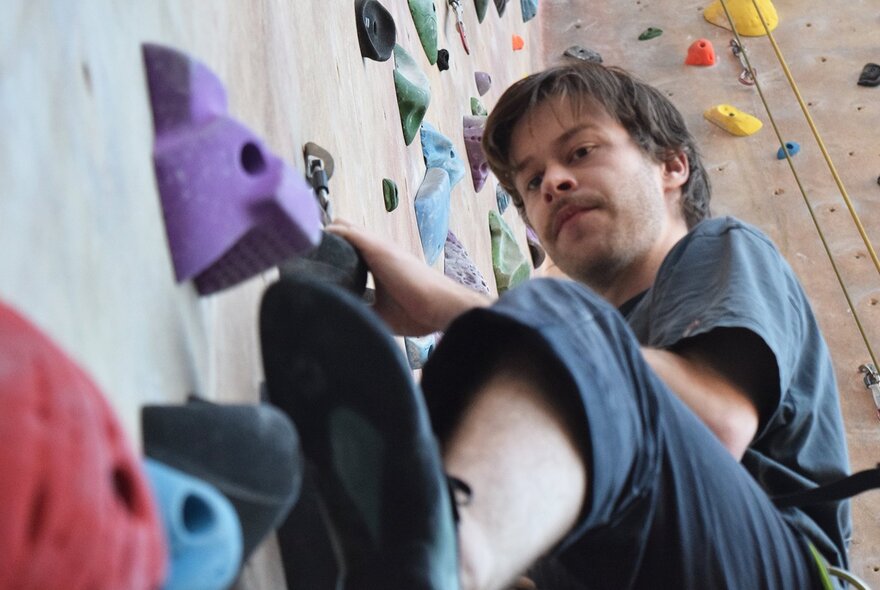 A person indoor climbing, using their hands and feet to hold onto grip mounted on the vertical wall.