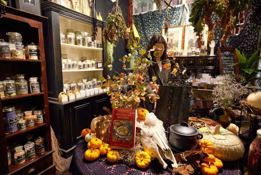 The inside of a magic shop