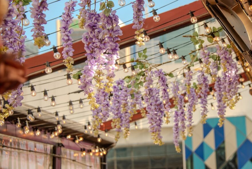 Flowering wisteria vines hanging from the fairy lights strung up at an outdoor bar. 