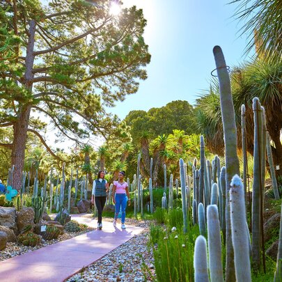 Rare gardens in Melbourne
