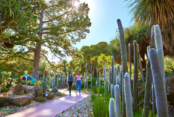 Rare gardens in Melbourne