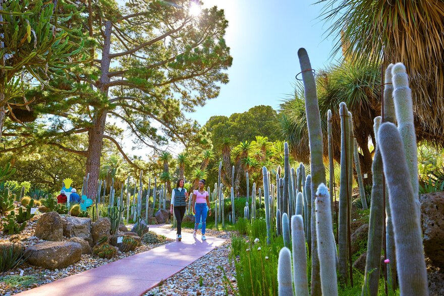 Rare gardens in Melbourne