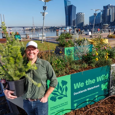 Landscape gardener, Matt York of Ratio Consultants, holding a woolly bush in a pot in front of his award-winning garden installation in Docklands, Melbourne.