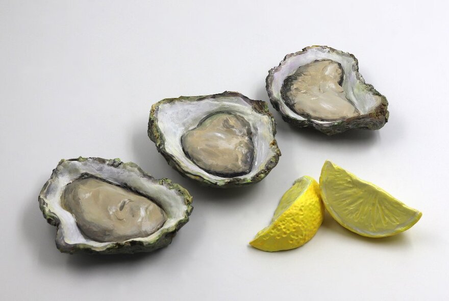 Three open oysters on a white surface, with two slices of lemon.