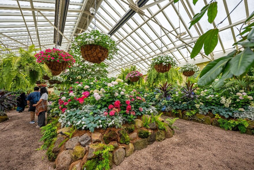 A wide shot of an indoor garden with hanging plants and flower beds surrounded by dirt paths.