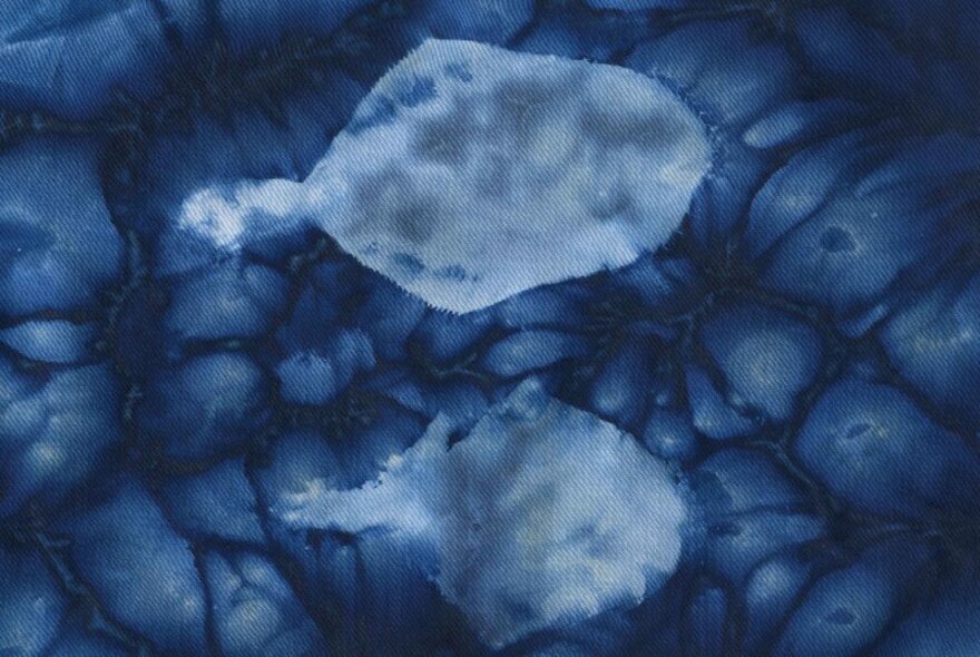 Blue artwork of water creatures.