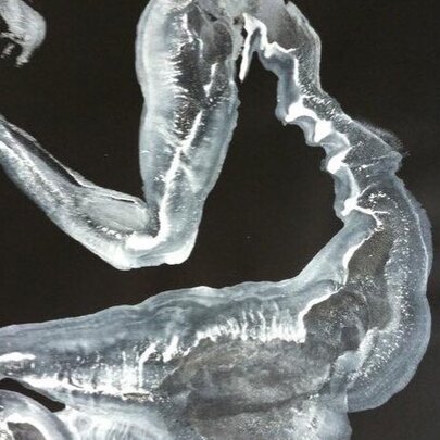 Polarity: Stories of Agency and Dreams Across Two Worlds