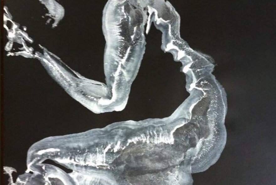 Suggestion of a female body captured in silver and shade.