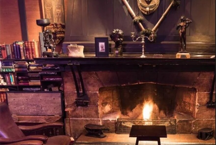 Cosy interior with roaring fire, mantelpiece, books and fireguard.