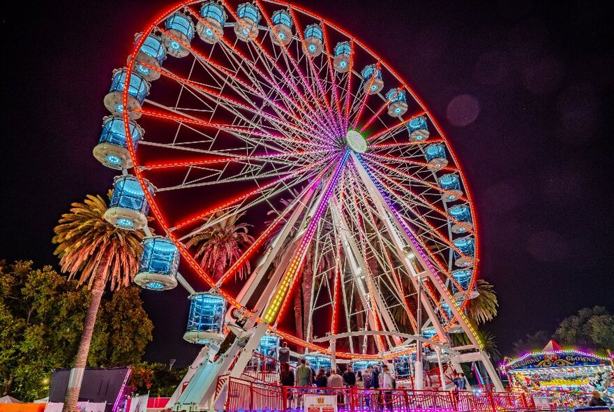 A Ferris wheel lit up with LED lights at night.