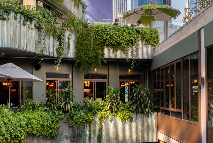 Concrete balconies draped with greenery looking into a softly lit restaurant interior.