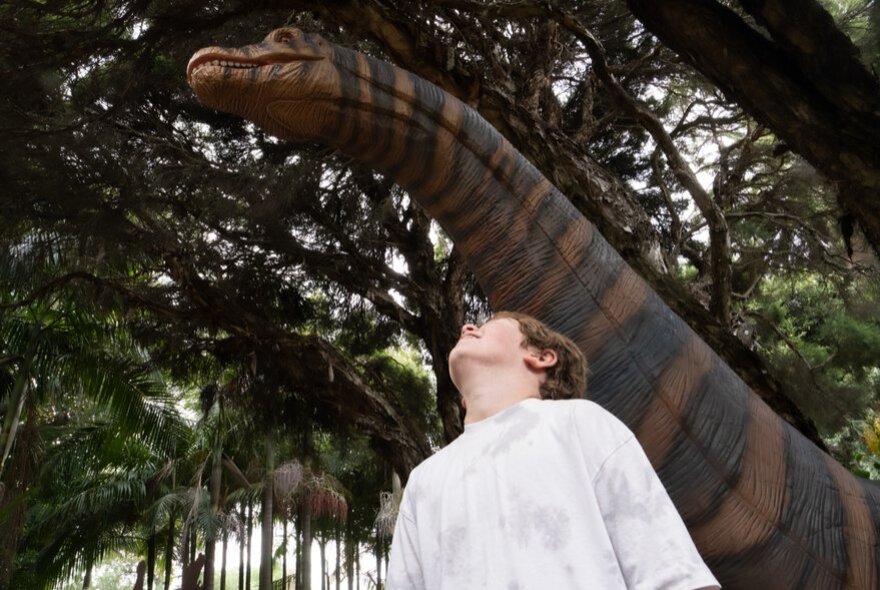 A child looking up at a large dinosaur model with a striped neck in a park setting. 