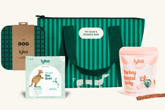 Bags of dog treats and cooler bag.