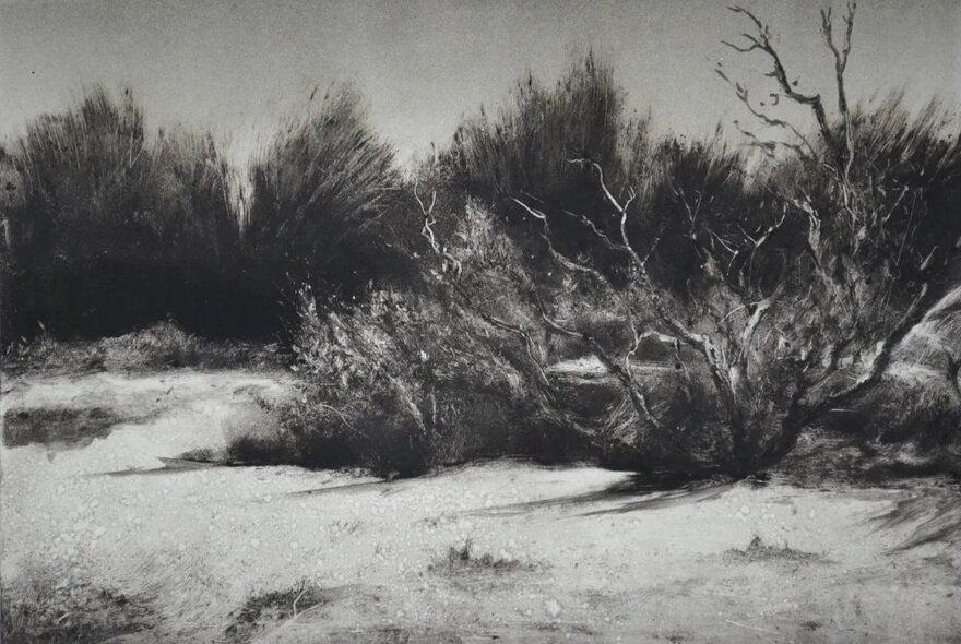 Art print of shrubs and low lying plants in a sandy coastal landscape.