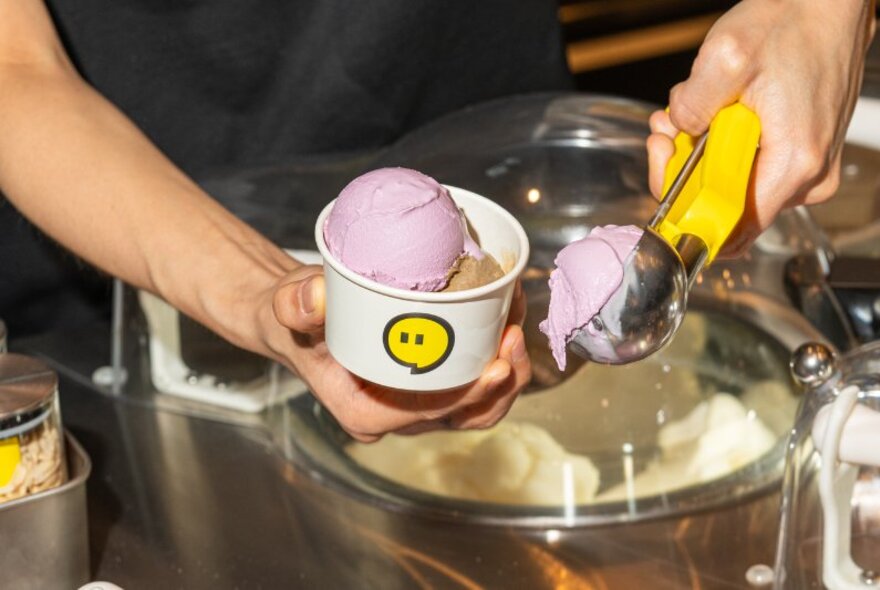 Hands scooping out pink gelato into a cup at an ice cream shop. 