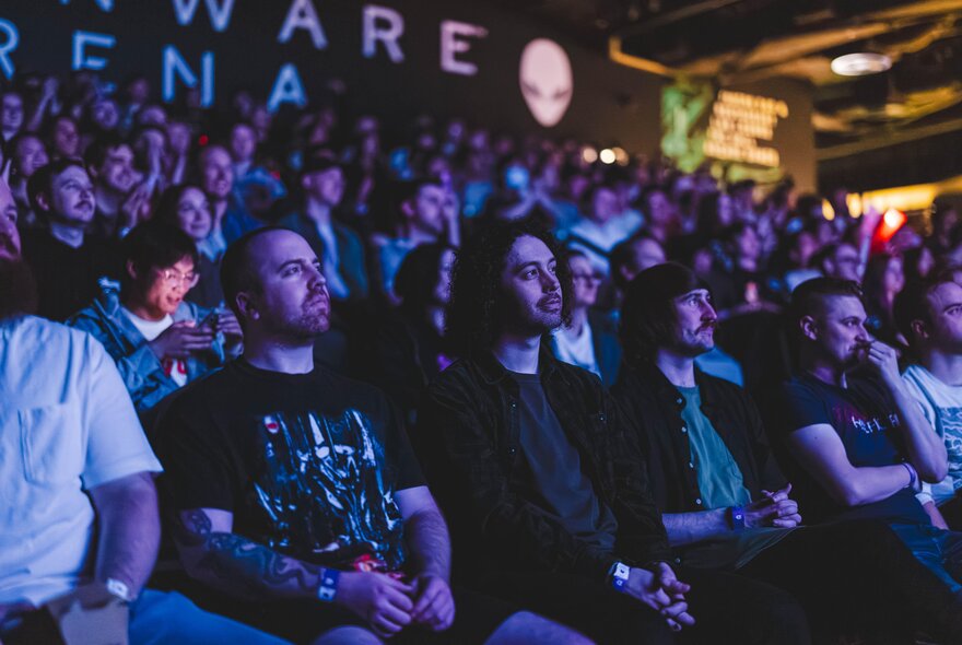 People seated in a theatre watching a screen, the light glowing on their faces.