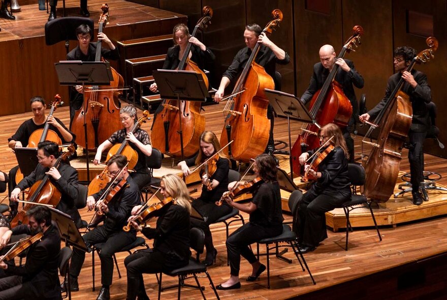 Members of an orchestra performing on stage at Hamer Hall.