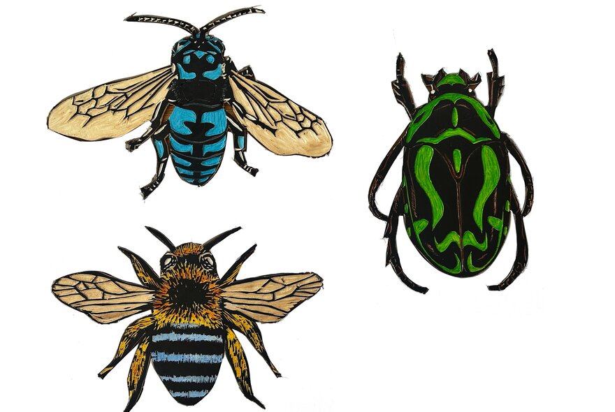 An artwork print of native bees and a black and green beetle against a white background.