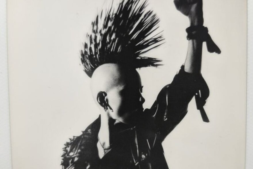 Black and white portrait photograph of a person with a spiked mohawk hairstyle, wearing a studded leather jacket, in profile.