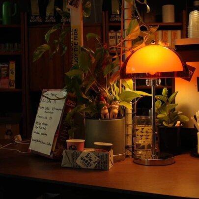 Bobby Stop Stealing Our Camping Chairs