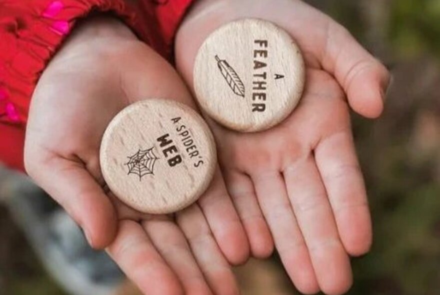 A kid is holding two wooden tokens. One has the words a spider's web written on it. The other has the words a feather written on it.