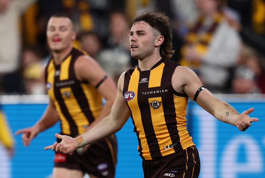 Two Hawthorn AFL football players on the field during a match.