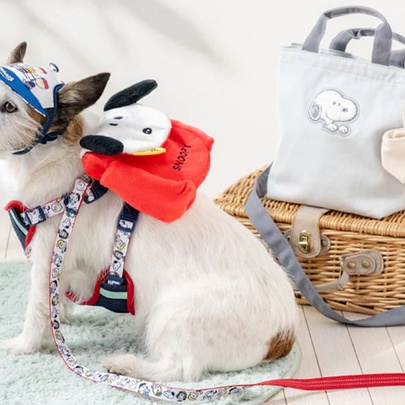 A small,wire-haired, white dog wearing a backpack and cap next to a picnic basket with a bag featuring Snoopy on top. 