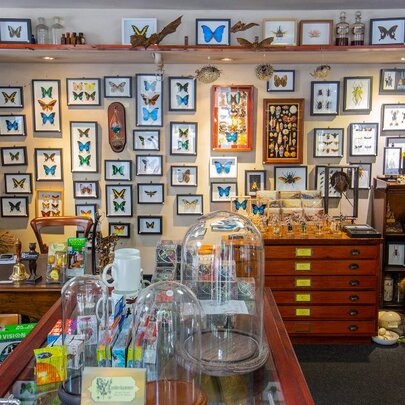 Rare shops you can only find in Melbourne