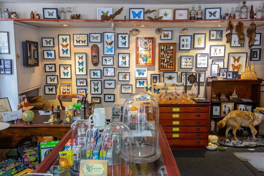 Rare shops you can only find in Melbourne