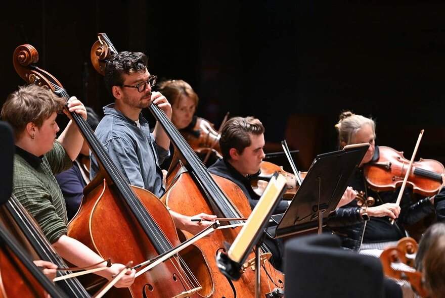 Musicians in the string section of the MSO performing. 