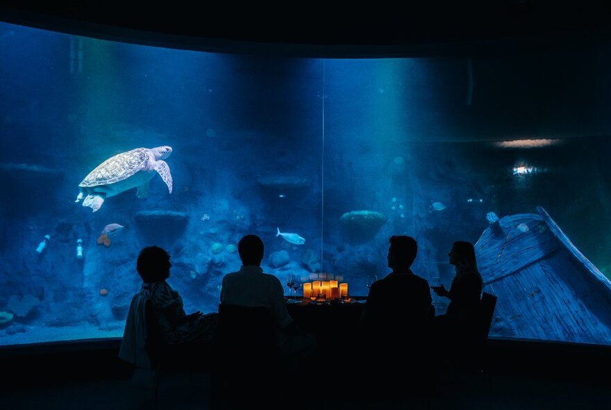 People seated at a candlelit table in a darkened aquarium, watching turtles swim past.