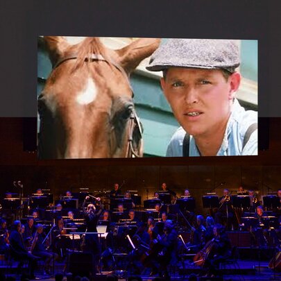 Seated audience watching the movie Phar Lap, a young Tom Burlinson with a chestnut horse.