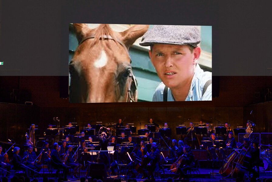 Phar Lap in Concert