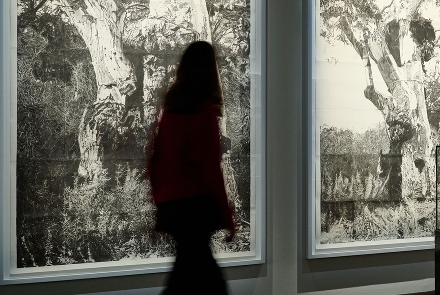 A person walking past a window looking onto gnarled gumtrees.