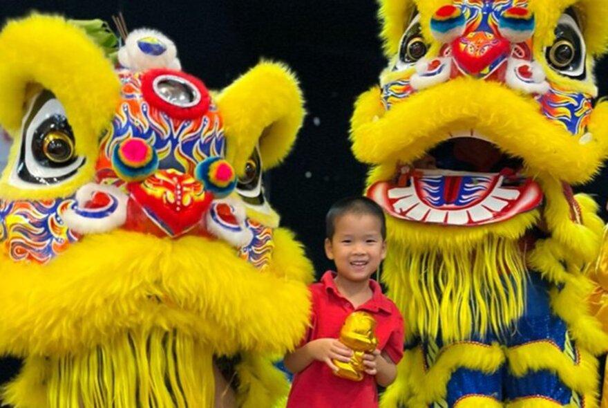 Two yellow Chinese dragon heads with a smiling child dressed in red between them 