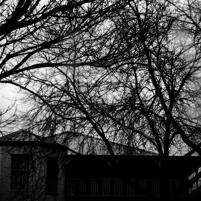 A monochrome image of a winter's day with bare trees and a house just visible in the background. 
