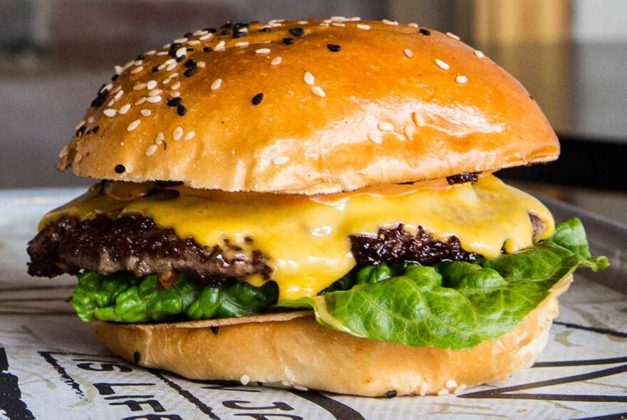 A gourmet cheeseburger.