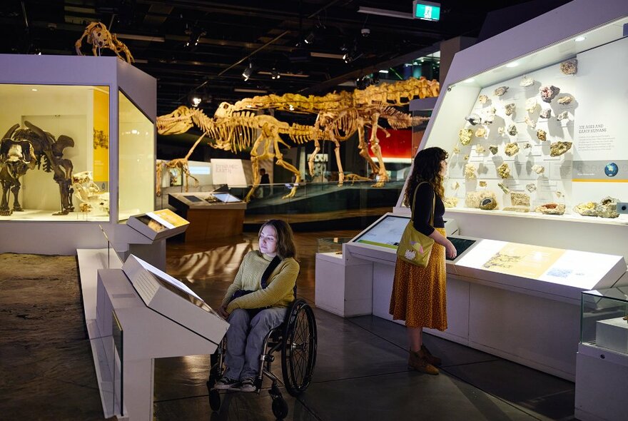 Two women looking at museum displays in a room with a dinosaur skeleton. One woman is using a wheelchair.